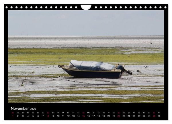 Produktbild: Texel, eine Perle Hollands (Wandkalender 2026 DIN A4 quer), CALVENDO Monatskalender