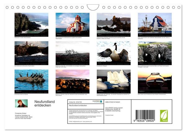 Produktbild: Neufundland entdecken (Wandkalender 2026 DIN A4 quer), CALVENDO Monatskalender