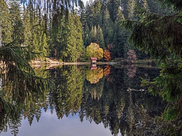 Produktbild: CALVENDO Puzzle Der Glaswaldsee bei Bad Peterstal | 1000 Teile Lege-Gr&ouml;&szlig;e 64x48cm Foto-Puzzle f&uuml;r gl&uuml;ckliche Stunden
