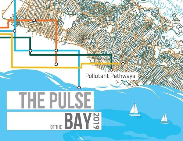 Produktbild: The Pulse of the Bay 2019
