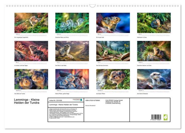 Produktbild: Lemminge - Kleine Helden der Tundra (Wandkalender 2027 DIN A2 quer), CALVENDO Monatskalender