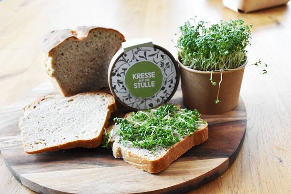 Produktbild: Microgreens Kresse Pott