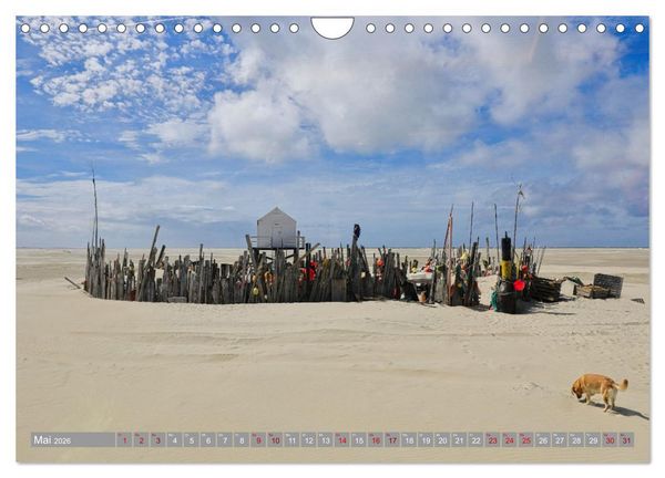 Produktbild: Vlieland Perle an der Nordsee (Wandkalender 2026 DIN A4 quer), CALVENDO Monatskalender