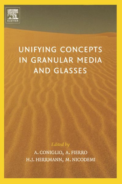 Produktbild: Unifying Concepts in Granular Media and Glasses
