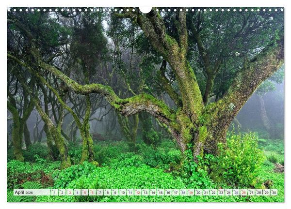 Produktbild: Kanarische Inseln - Vulkanische Natursch&ouml;nheiten (Wandkalender 2026 DIN A3 quer), CALVENDO Monatskalender