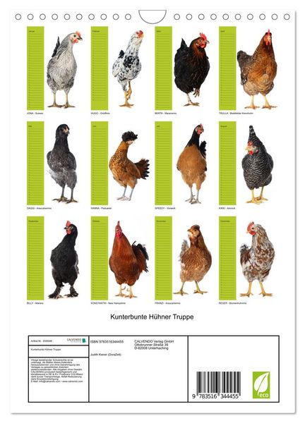 Produktbild: Kunterbunte H&uuml;hner Truppe (Wandkalender 2026 DIN A4 hoch), CALVENDO Monatskalender