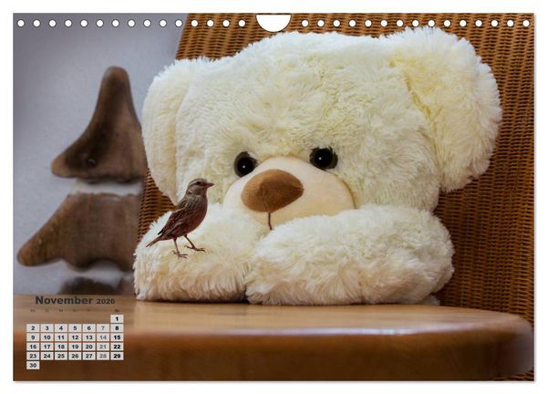 Produktbild: Teddys, wollen wir Kalender anschauen? (Wandkalender 2026 DIN A4 quer), CALVENDO Monatskalender