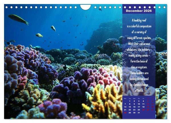 Produktbild: Diving into the Red Sea (Wall Calendar 2026 DIN A4 landscape), CALVENDO 12 Month Wall Calendar