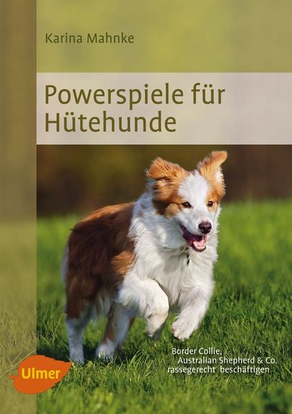 Produktbild: Powerspiele f&uuml;r H&uuml;tehunde