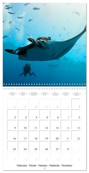 Produktbild: Maldives - Sun, water and beach (Wall Calendar 2026 12 &times; 12 Inch) CALVENDO 12 Month Wall Calendar