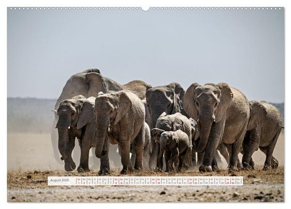 Produktbild: Namibia &ndash; Farben des Lebens (Wandkalender 2026 DIN A2 quer), CALVENDO Monatskalender