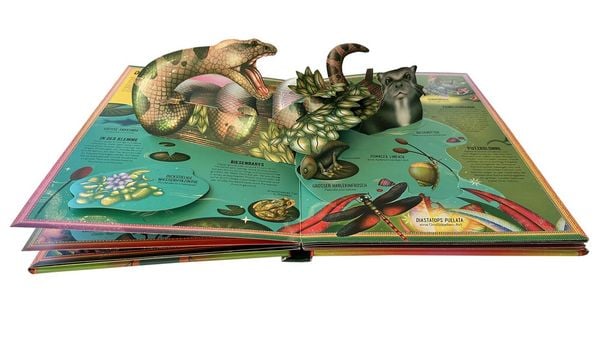 Produktbild: Das unglaubliche Pop-up-Buch &ndash; Am Wasser