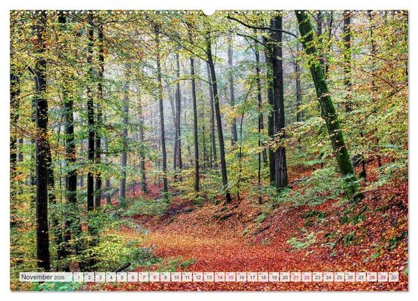 Produktbild: Idyllische Wanderwege im Bergischen Land (hochwertiger Premium Wandkalender 2026 DIN A2 quer), Kunstdruck in Hochglanz