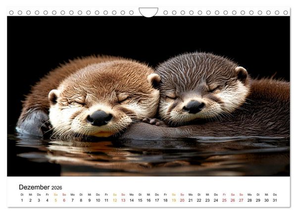 Produktbild: Wilde Heimat - Fischotter (Wandkalender 2026 DIN A4 quer), CALVENDO Monatskalender