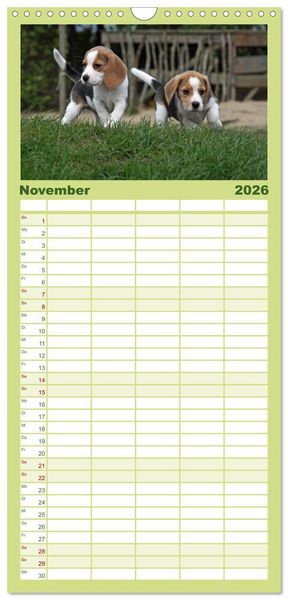 Produktbild: Familienplaner 2026 - Der Hundewelpen-Geburtstagskalender mit 5 Spalten (Wandkalender, 21 x 45 cm) CALVENDO