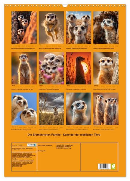 Produktbild: Die Erdm&auml;nnchen Familie - Kalender der niedlichen Tiere (Wandkalender 2026 DIN A2 hoch), CALVENDO Monatskalender