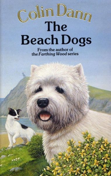 Produktbild: The Beach Dogs