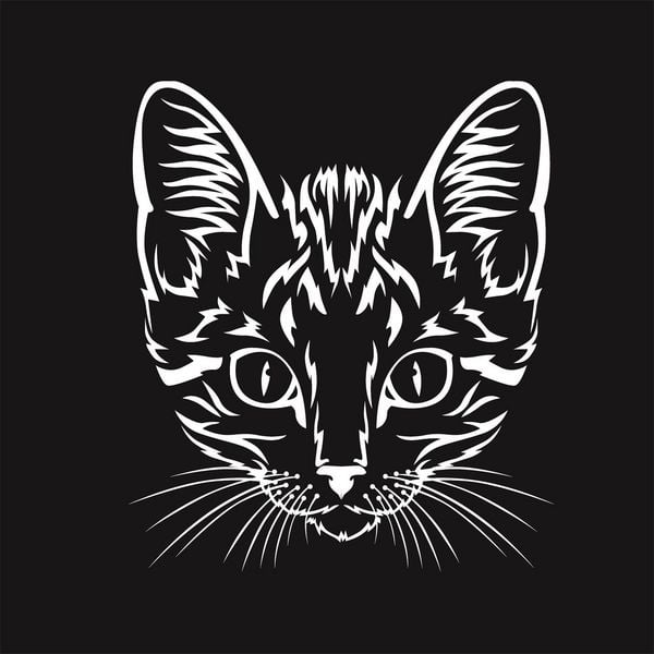 Produktbild: Black Premium. Katzen