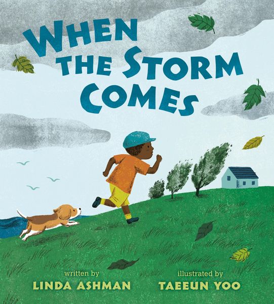 Produktbild: When the Storm Comes
