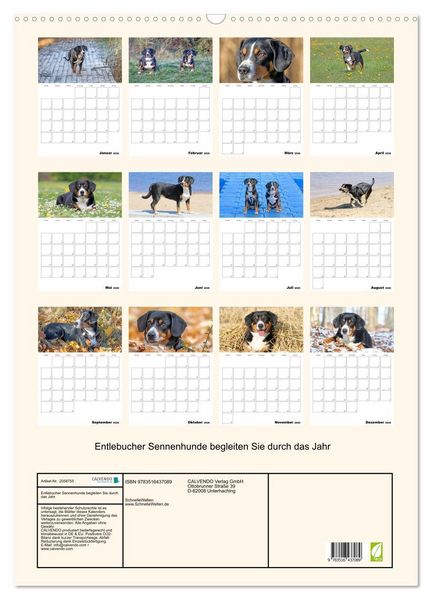Produktbild: Entlebucher Sennenhunde begleiten Sie durch das Jahr (Wandkalender 2026 DIN A2 hoch), CALVENDO Monatskalender