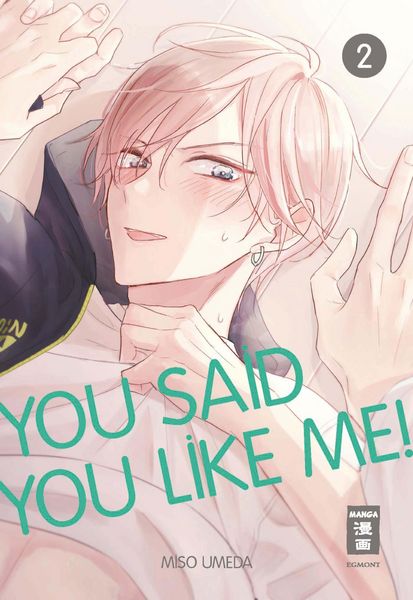 Produktbild: You Said You Like Me! 02