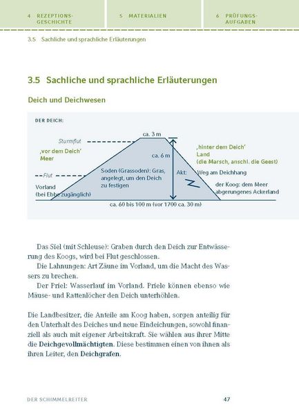 Produktbild: Der Schimmelreiter von Theodor Storm