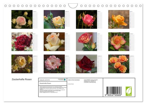 Produktbild: Zauberhafte Rosen (Wandkalender 2026 DIN A4 quer), CALVENDO Monatskalender