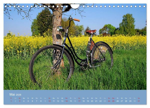 Produktbild: Das Fahrrad 2026 (Wandkalender 2026 DIN A4 quer), CALVENDO Monatskalender