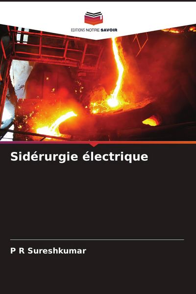 Produktbild: Sid&eacute;rurgie &eacute;lectrique