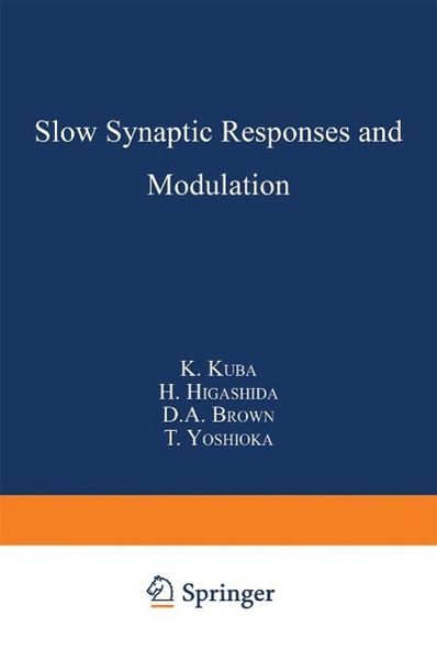 Produktbild: Slow Synaptic Responses and Modulation
