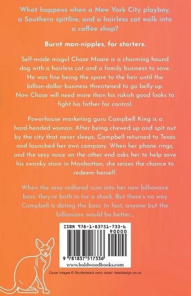 Produktbild: Anyone But The Billionaire