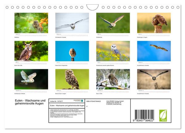 Produktbild: Eulen - Wachsame und geheimnisvolle Augen (Wandkalender 2026 DIN A4 quer), CALVENDO Monatskalender