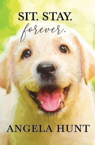 Produktbild: Sit. Stay. Forever.