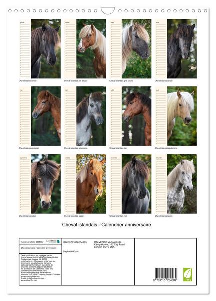 Produktbild: Cheval islandais - Calendrier anniversaire (Calendrier mural 2026 DIN A3 horizontal), CALVENDO calendrier mensuel