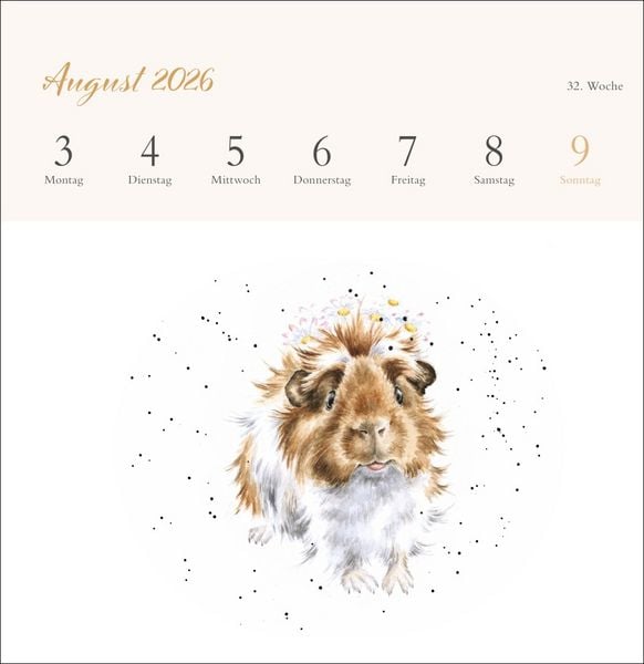 Produktbild: Hannah Dale: Happy Animals Premium-Postkartenkalender 2026