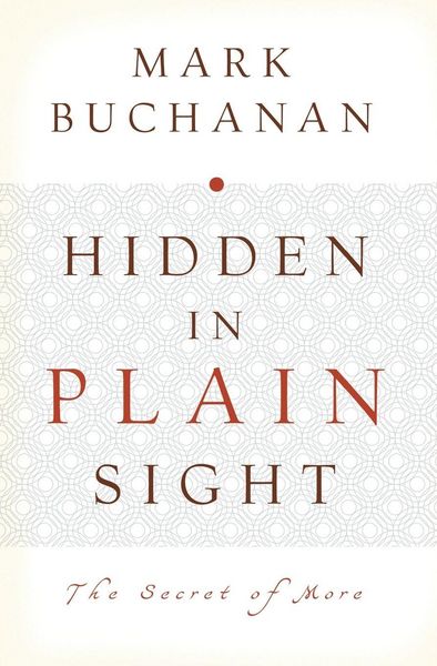 Produktbild: The Hidden in Plain Sight