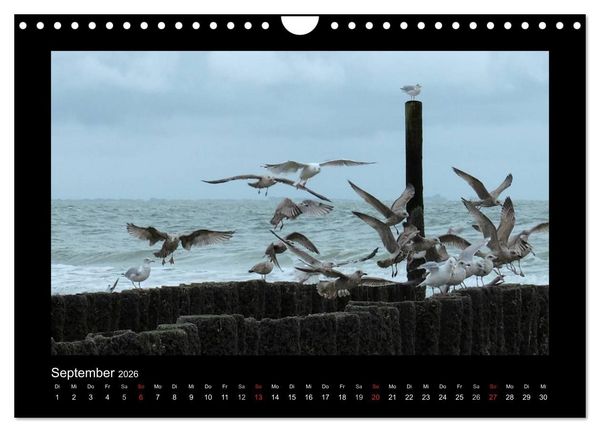 Produktbild: An der Nordsee (Wandkalender 2026 DIN A4 quer), CALVENDO Monatskalender