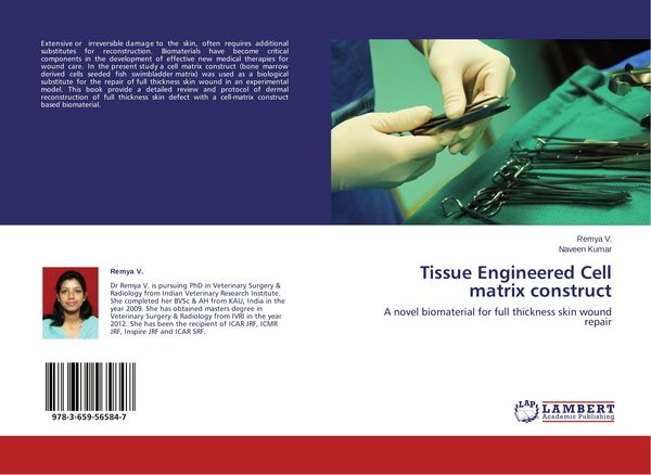 Produktbild: Tissue Engineered Cell matrix construct