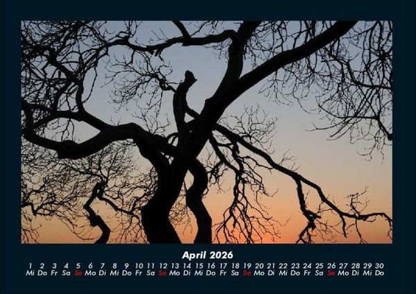 Produktbild: Landschaftskalender 2026 Fotokalender DIN A4