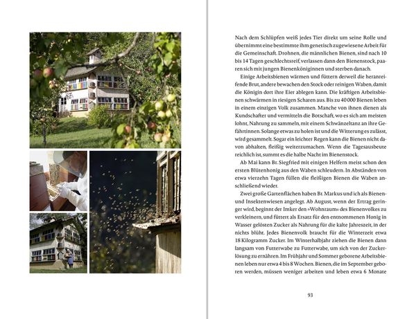 Produktbild: Das Glück wächst im Garten