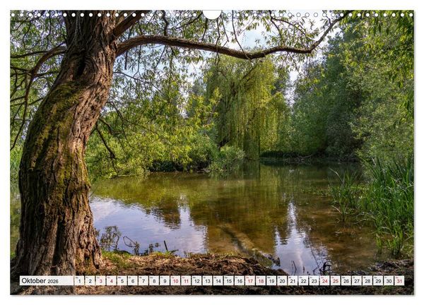 Produktbild: England - Oxford (Wandkalender 2026 DIN A3 quer), CALVENDO Monatskalender