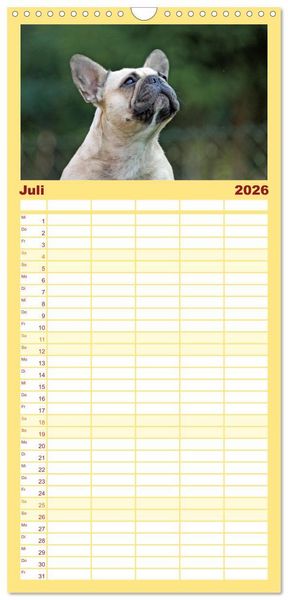 Produktbild: Familienplaner 2026 - Franz&ouml;sische Bulldoggen - Schutzengel auf 4 Pfoten mit 5 Spalten (Wandkalender, 21 x 45 cm) CALVENDO