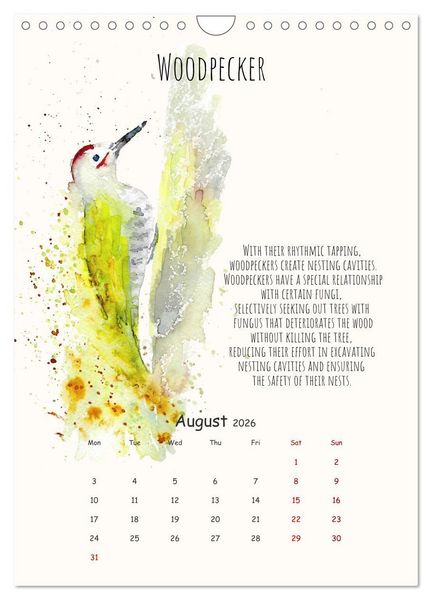 Produktbild: Symbiosis, the story of collaborations in nature (Wall Calendar 2026 DIN A4 portrait), CALVENDO 12 Month Wall Calendar