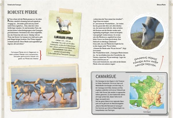 Produktbild: Verborgene Welt der Pferde