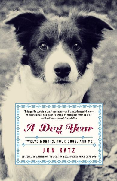 Produktbild: A Dog Year
