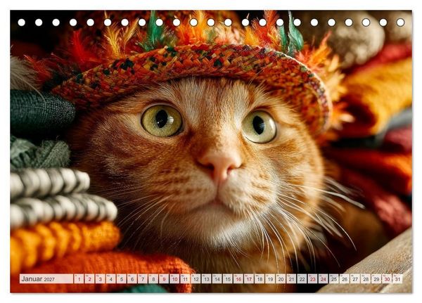 Produktbild: Katzen - Jeder Moment ein Abenteuer (Tischkalender 2027 DIN A5 quer), CALVENDO Monatskalender