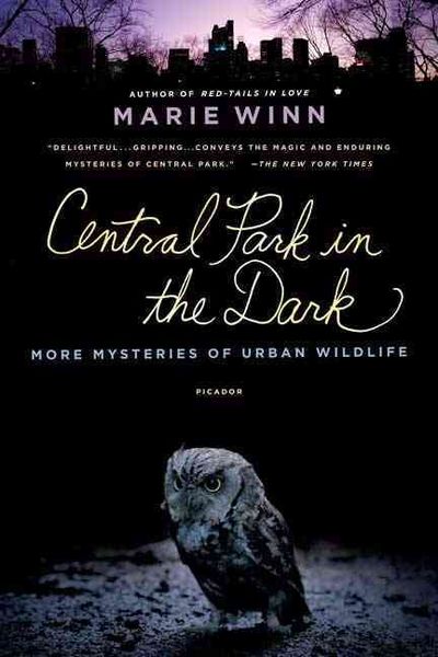 Produktbild: Central Park in Dark
