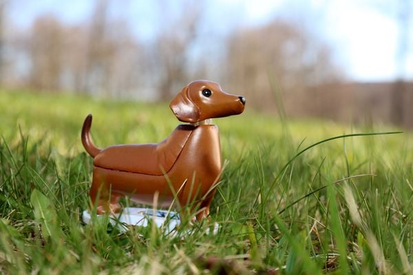 Solar Dashund - Boudewijn