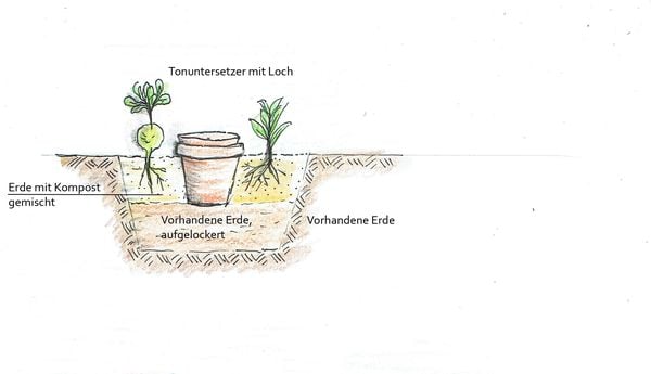 Produktbild: Handbuch Wasser im Garten