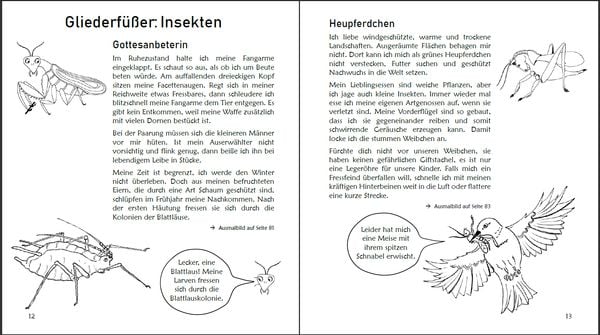 Produktbild: Ausmalspaß + Wissen: Fantatiere - Malbuch ab 6 Jahre. Artenvielfalt artgerecht erkunden für die ganze Familie. Empfohlen vom Naturschutzbund Österreic
